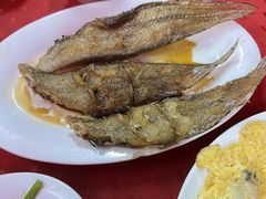 -蛇口康乐快餐鱼仔档(翠苑小区店)