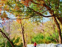 -阳台山自然风景区