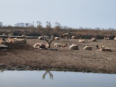 -宁波杭州湾国家湿地公园