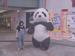 -VT101维多利广场