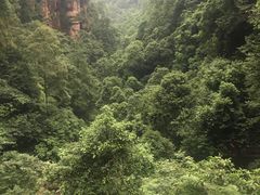 -赤水丹霞旅游区·佛光岩