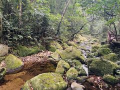 -海南热带雨林国家公园吊罗山景区