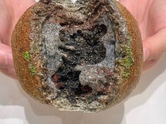 -追光 Dream Bakery(汉街店)