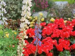 -海心沙亚运公园