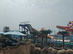 -秦皇岛乐岛海洋王国