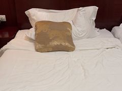 -绍兴上虞雷迪森云锦大酒店