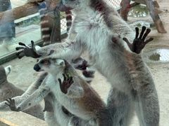 -水上乐园·欢乐世界