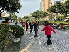-神仙树公园