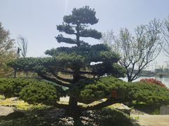 -海底捞火锅(大融城店)