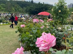 -牛岗山公园