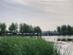 -长春市南湖公园