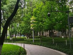 -重庆市江北嘴中央商务区中央公园