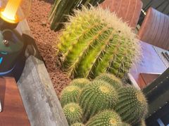 -West10 西拾·西餐厅·创意菜(未来科技城店)