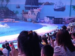 -华夏文旅海洋公园