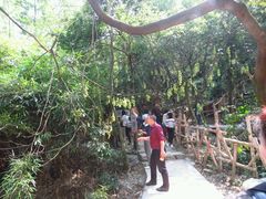 -牛鱼嘴原始生态风景区
