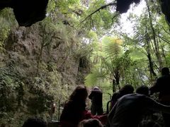 -怀托摩萤火虫洞