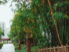 -塔子山公园