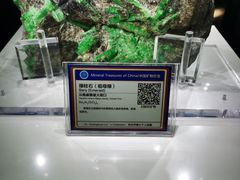 -中国地质大学逸夫博物馆