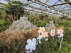 -南宫五洲植物乐园