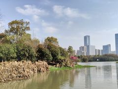 -艾溪湖湿地公园