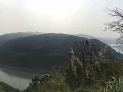 -铁山坪森林公园