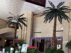-常州环球恐龙城维景国际大酒店