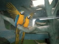 -石家庄市动物园