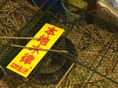 -御唐府海珊瑚主题餐厅
