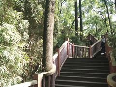 -南山植物园
