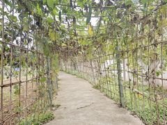 -元鼎宝驴香·全驴宴(江宁店)
