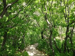 -棋盘山风景区