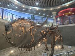 -国家自然博物馆