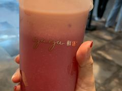 -gaga(深圳南山益田假日广场店)