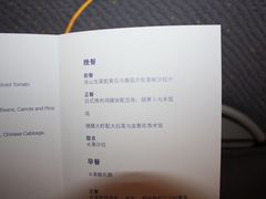 -德国汉莎航空公司