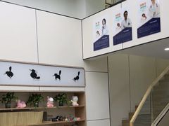 -凯瑞希宠物医院·狂犬免疫·微创·皮肤科