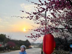 -杏花村文化旅游区
