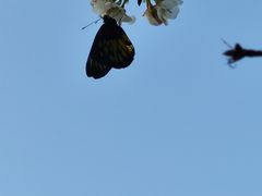 -红花湖景区