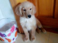 -国御温泉度假小镇