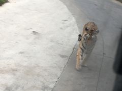 -西安秦岭野生动物园