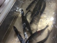 -笑红饭庄