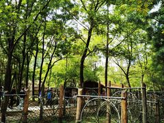 -溱湖国家湿地公园