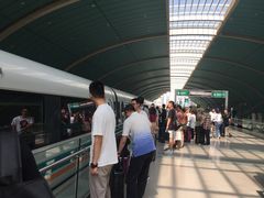 -上海浦东国际机场-T2航站楼