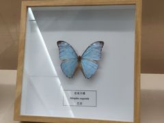 -汕头市博物馆