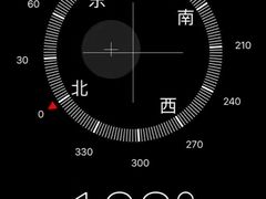 -霍顿平原国家公园