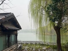 -四季明湖·鲁菜海鲜(明湖店)