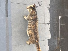 -新津老码头旅游小镇