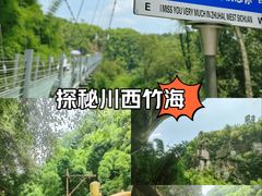 -川西竹海景区