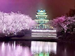 -金陵山水丽景酒店-中餐厅