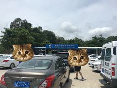 -骑仕租车(三亚凤凰机场店)