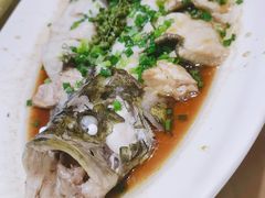 -朱记乳鸽王·非遗石岐乳鸽·全鸽宴(大兴旗舰店)